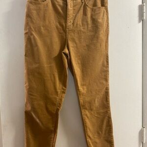 LOFT Women's Tan‎ Straight Leg Pants